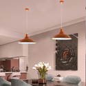 Orange colour Modern Vintage Industrial Retro Loft Metal Ceiling Lamp Shade Pendant Light~1643