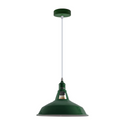 Industrial Vintage Modern Metal Retro  E27 Ceiling Green Barn Slotted Pendant Shade~3739