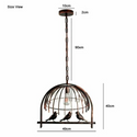 industrial Light Cage Hanging Pendant Light Chandelier Rustic Red~1240