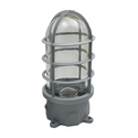 Modern Light Bulkhead Metal Marine Glass Nautical Light Cage~2489